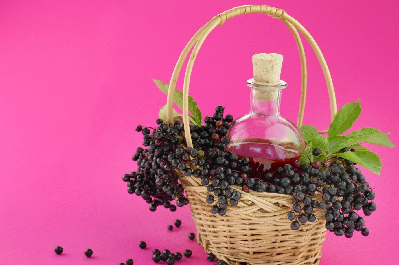 elderberry for kids