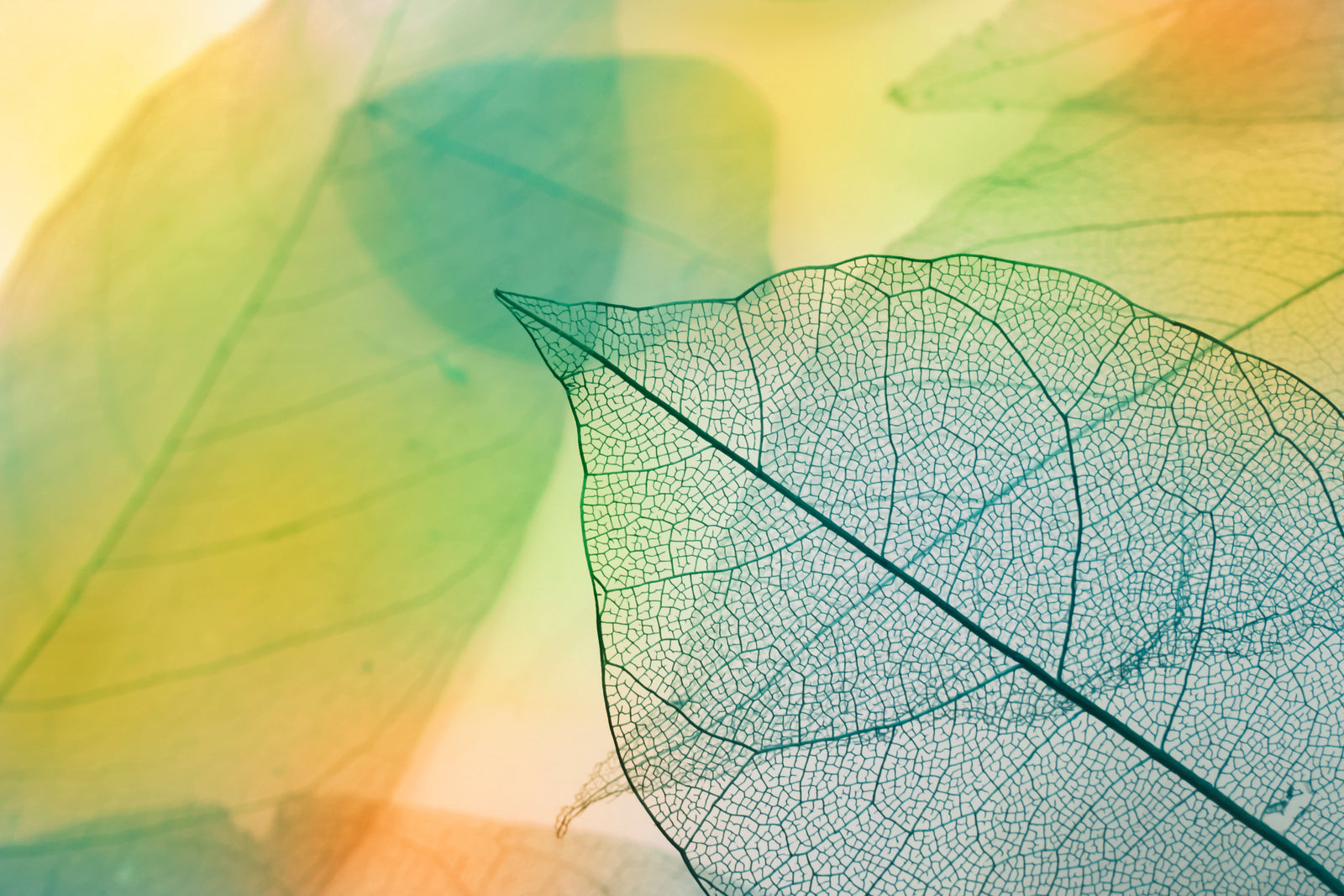 AMAZON RECALL UPDATE & PUBLIC CORRECTION