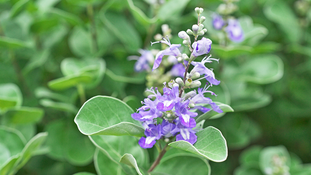 How to balance hormones