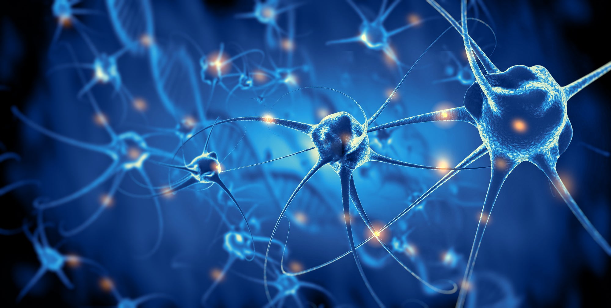 Herbs for nervous system