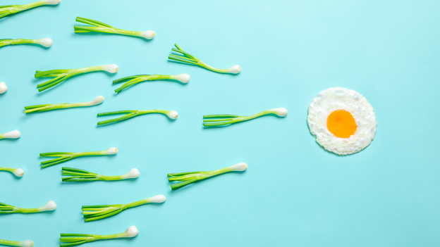 Fertility boosters
