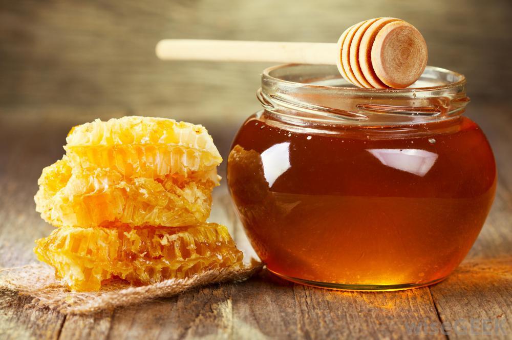 7 of the Most Healing Herbs Ever Discovered