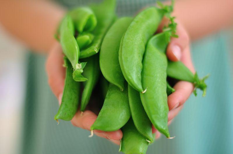 New Study Says Beans and Peas Are More Filling Than Meat-Based Meals