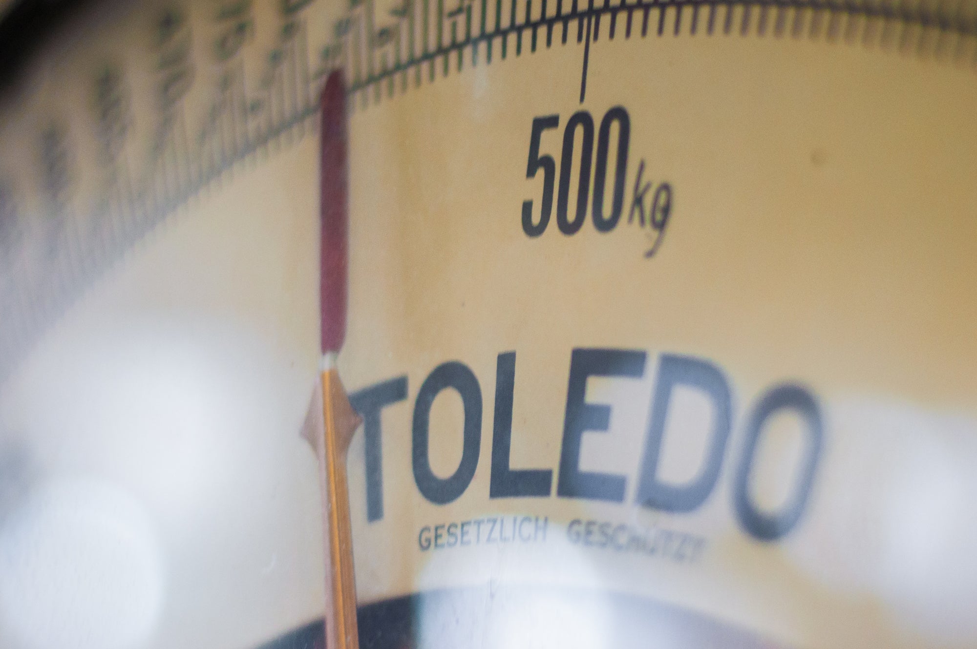 Herbal Remedies for Adrenal Fatigue and Weight Gain