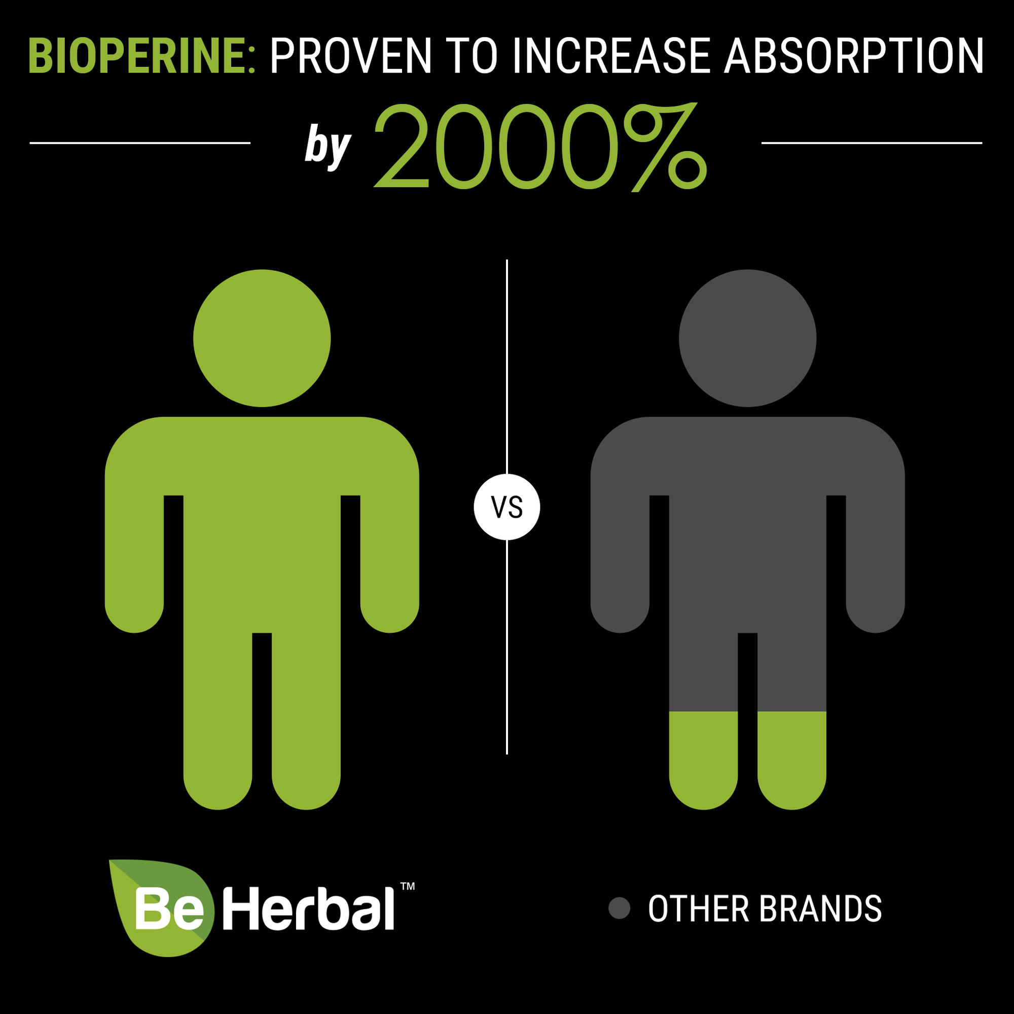 Organic Turmeric Curcumin Pills with Black Pepper & Ginger - 1500 mg - 60 veg capsules