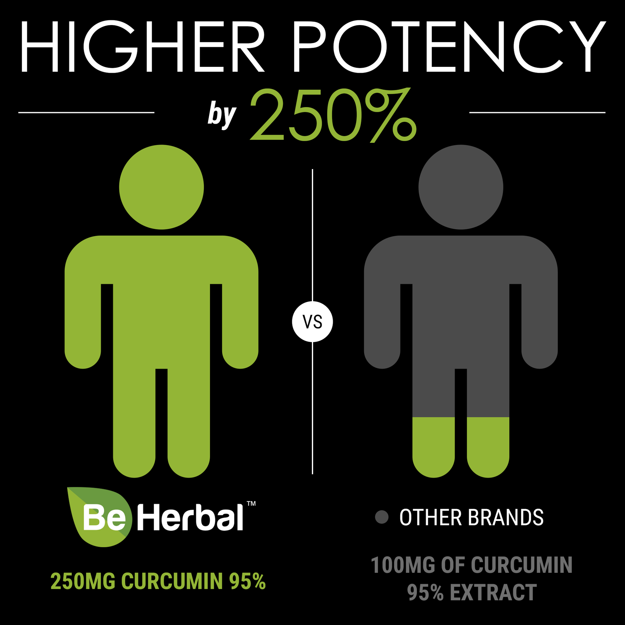 Organic Turmeric Curcumin Pills with Black Pepper & Ginger - 1500 mg - 60 veg capsules